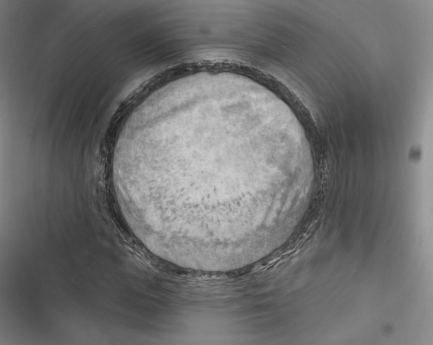 X0000116650823201001111227