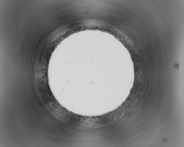 X0000116650824201001111227