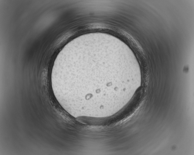 X0000116650825201001111227