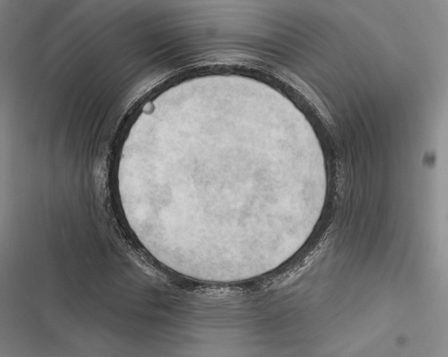 X0000116650826201001111227