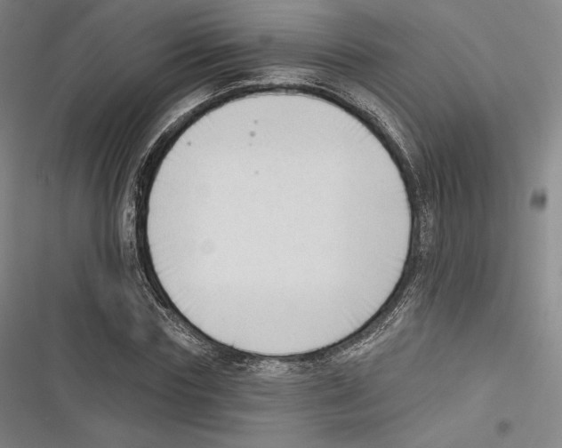 X0000116650827201001111227