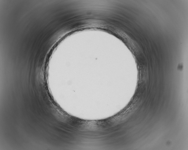 X0000116650828201001111227