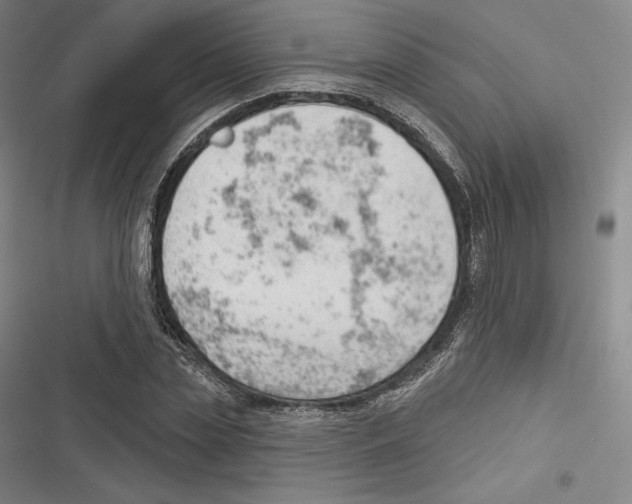 X0000116650829201001111227