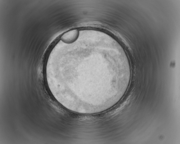 X0000116650830201001111227