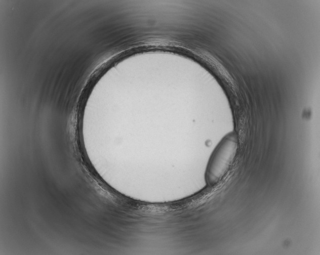 X0000116650831201001111227