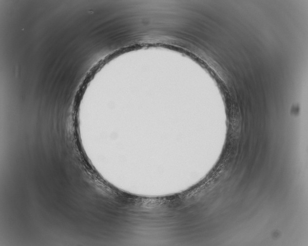 X0000116650832201001111227