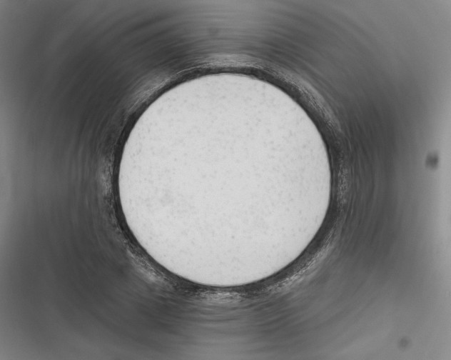 X0000116650833201001111227