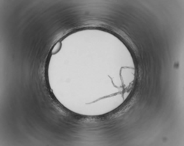 X0000116650834201001111227