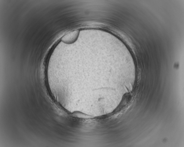 X0000116650835201001111227