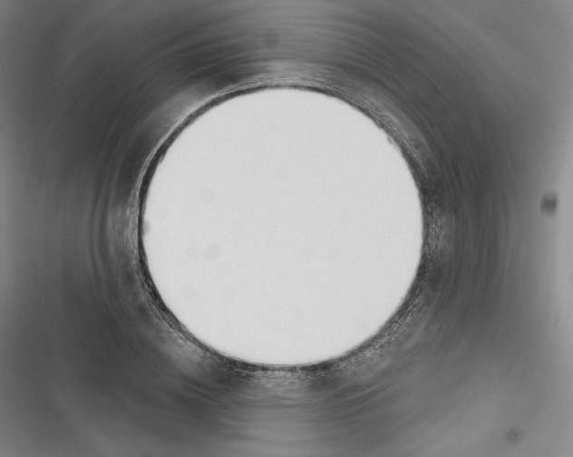 X0000116650836201001111227