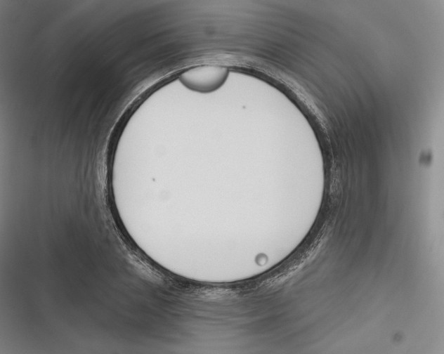 X0000116650837201001111227