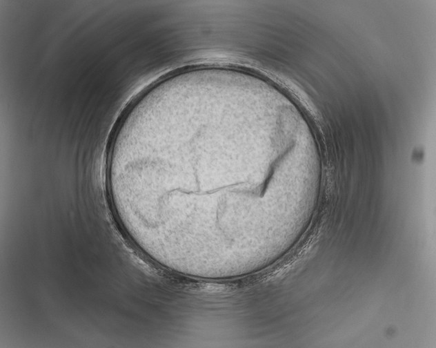 X0000116650839201001111227