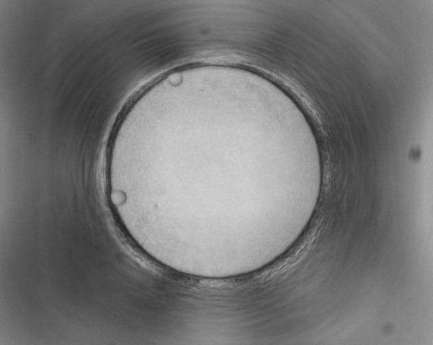 X0000116650840201001111227