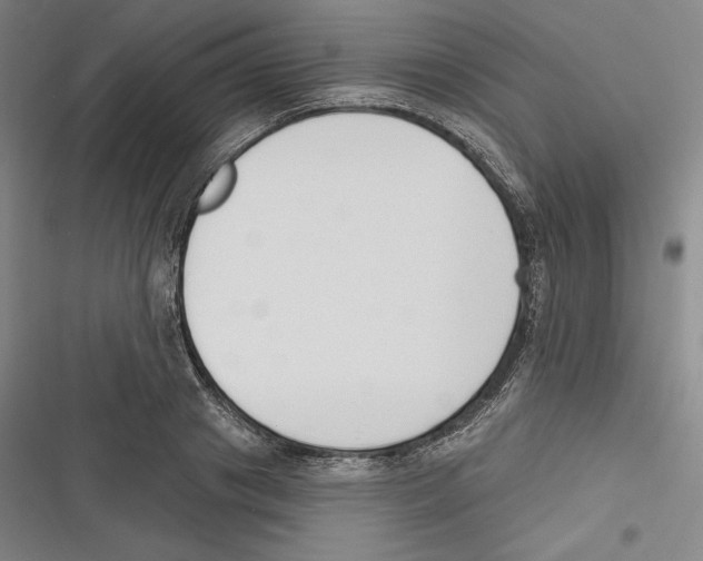 X0000116650841201001111227