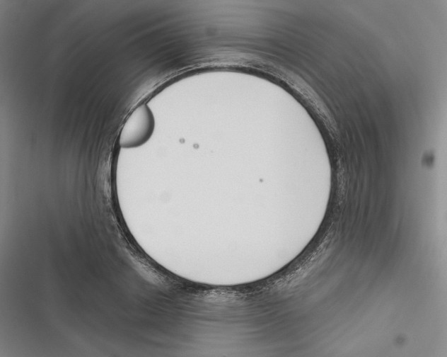 X0000116650842201001111227