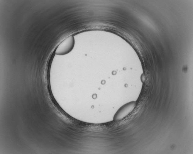 X0000116650843201001111227