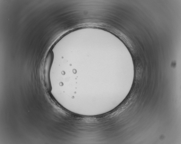 X0000116650844201001111227