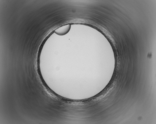 X0000116650845201001111227