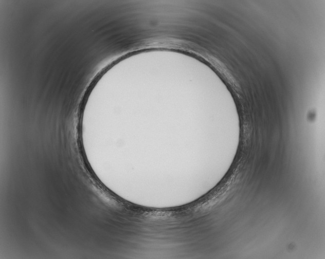 X0000116650846201001111227