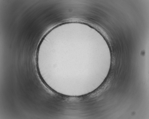 X0000116650847201001111227