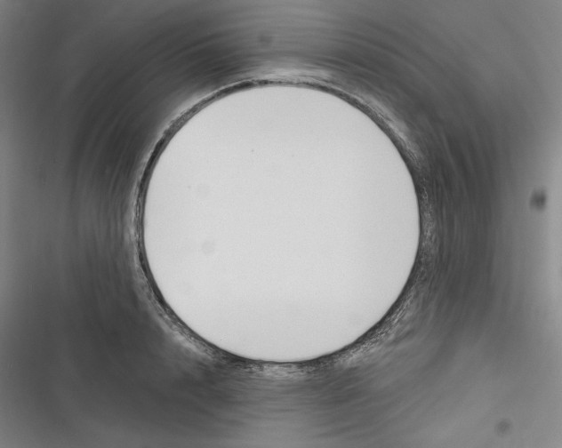 X0000116650848201001111227