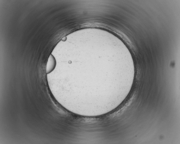 X0000116650849201001111227