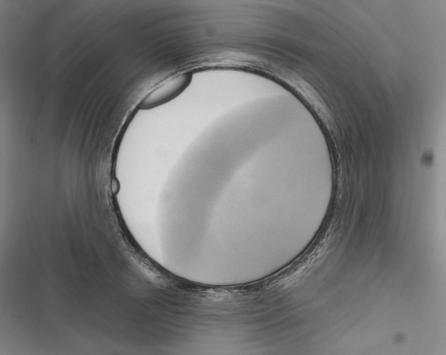 X0000116650850201001111227