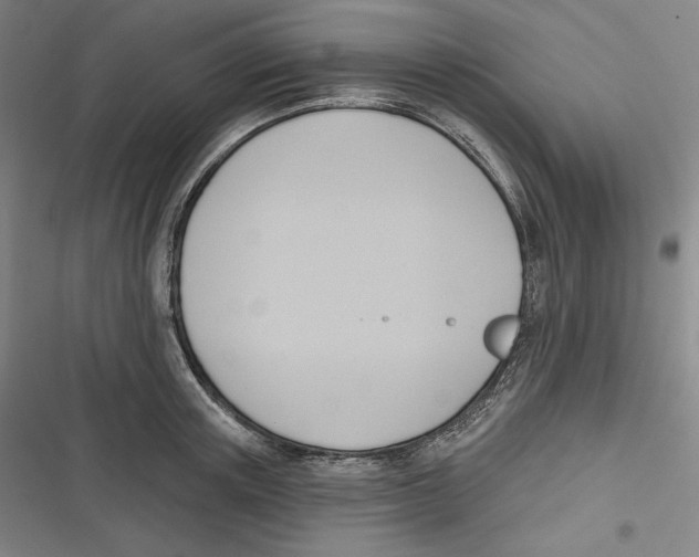 X0000116650851201001111227