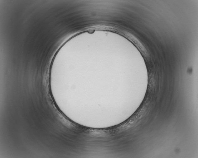 X0000116650852201001111227