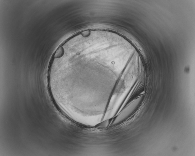 X0000116650853201001111227