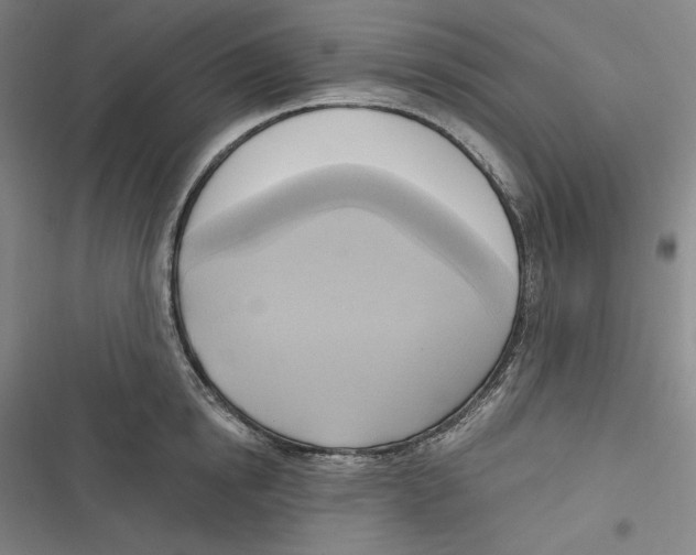 X0000116650854201001111227