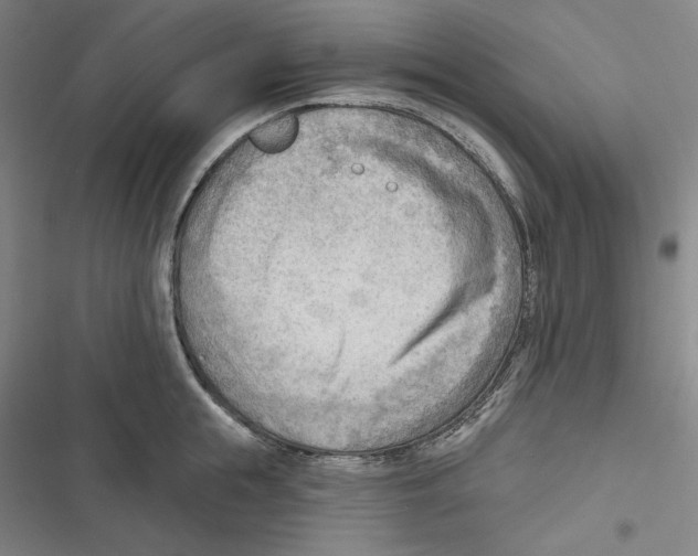 X0000116650855201001111227