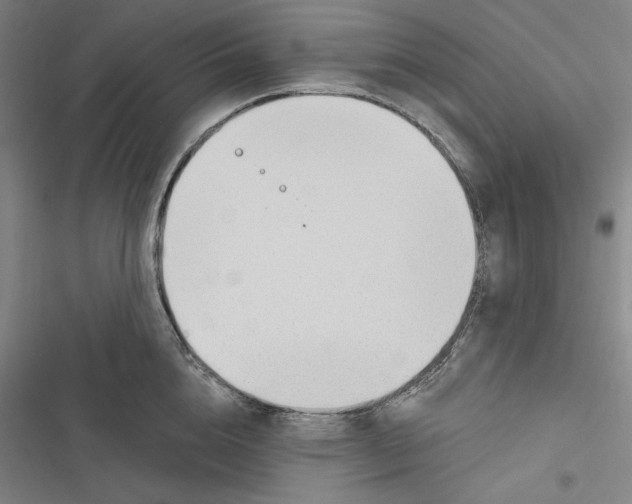 X0000116650856201001111227