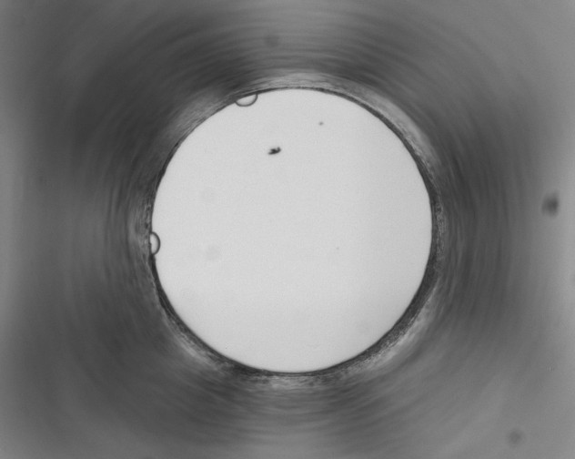 X0000116650857201001111227