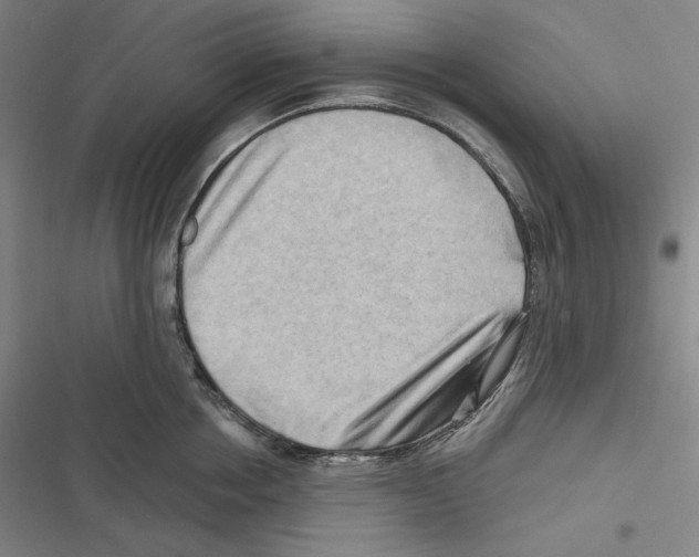 X0000116650858201001111227