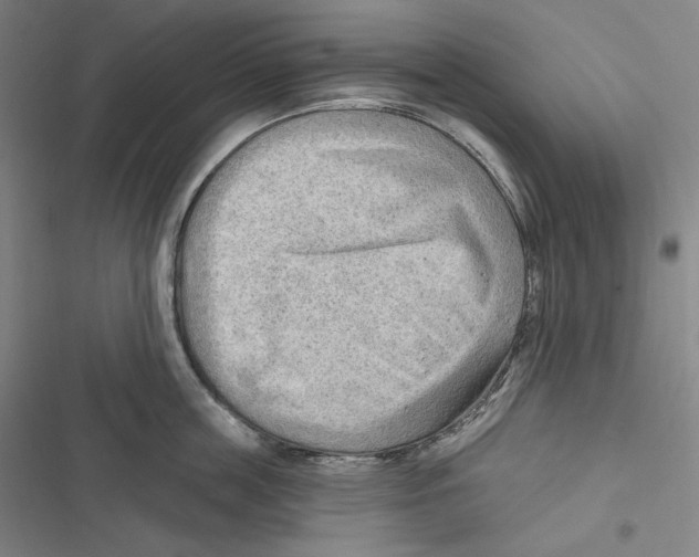 X0000116650859201001111227