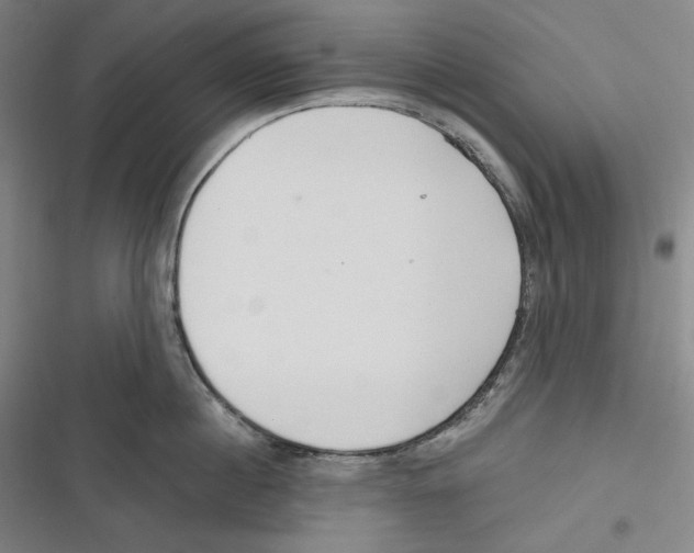 X0000116650860201001111227