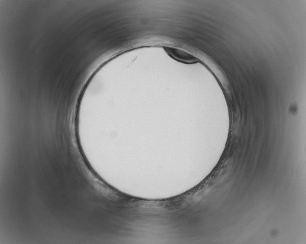 X0000116650861201001111227