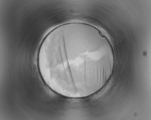 X0000116650862201001111227