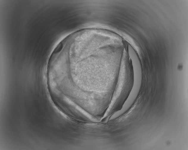 X0000116650863201001111228