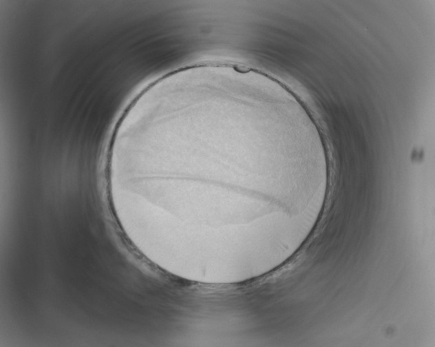 X0000116650864201001111228