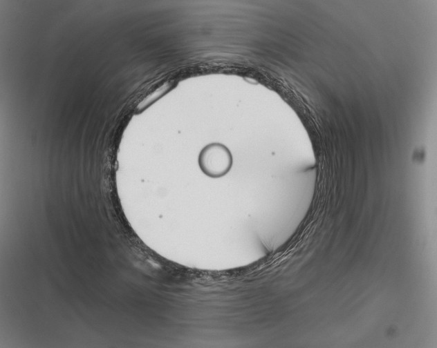 X0000116650868201001111227