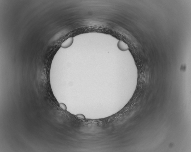 X0000116650869201001111227