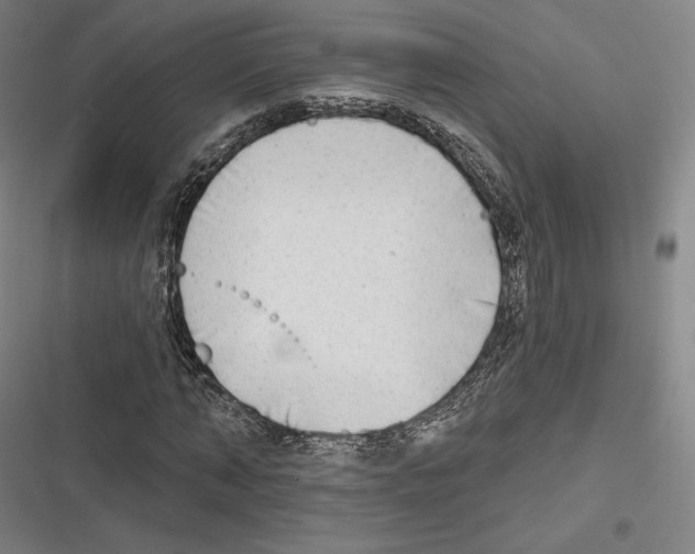 X0000116650870201001111227