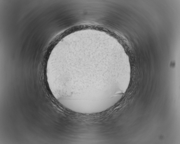 X0000116650872201001111227