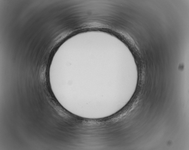 X0000116650873201001111227