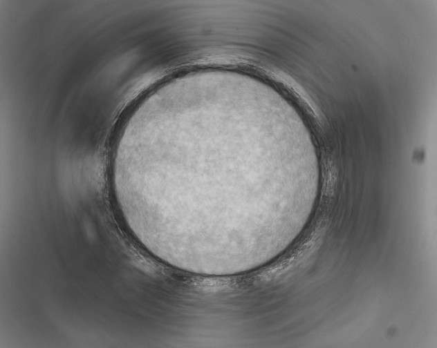 X0000116650874201001111227