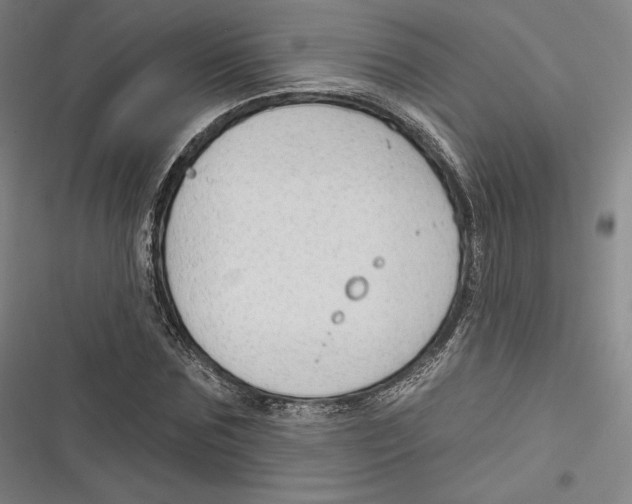 X0000116650875201001111227