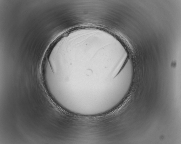 X0000116650876201001111227