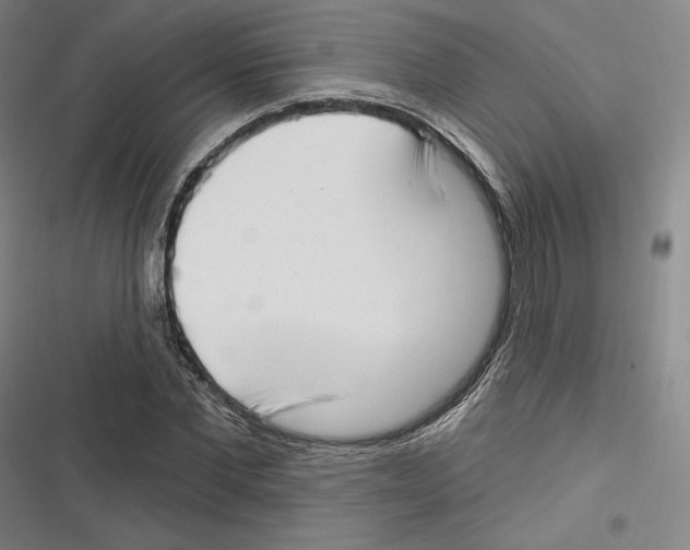 X0000116650877201001111227